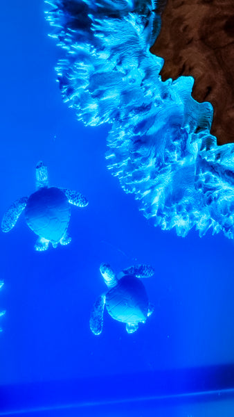 Underwater Lamp with 2 sea turtles