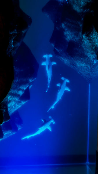 Underwater Lamp with 3 hammerhead sharks