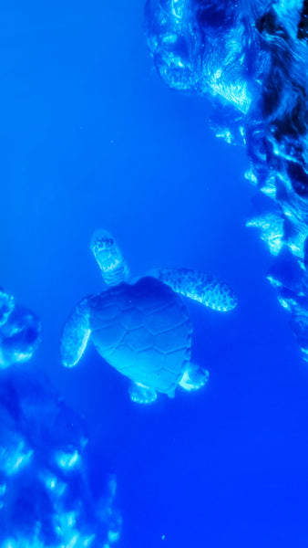 Underwater Lamp with sea turtles