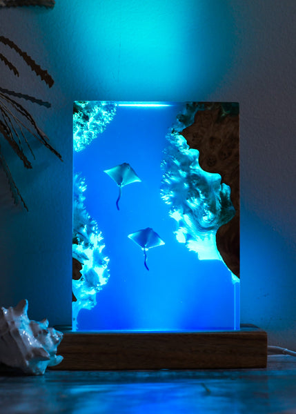 Pre-Order Underwater Lamp