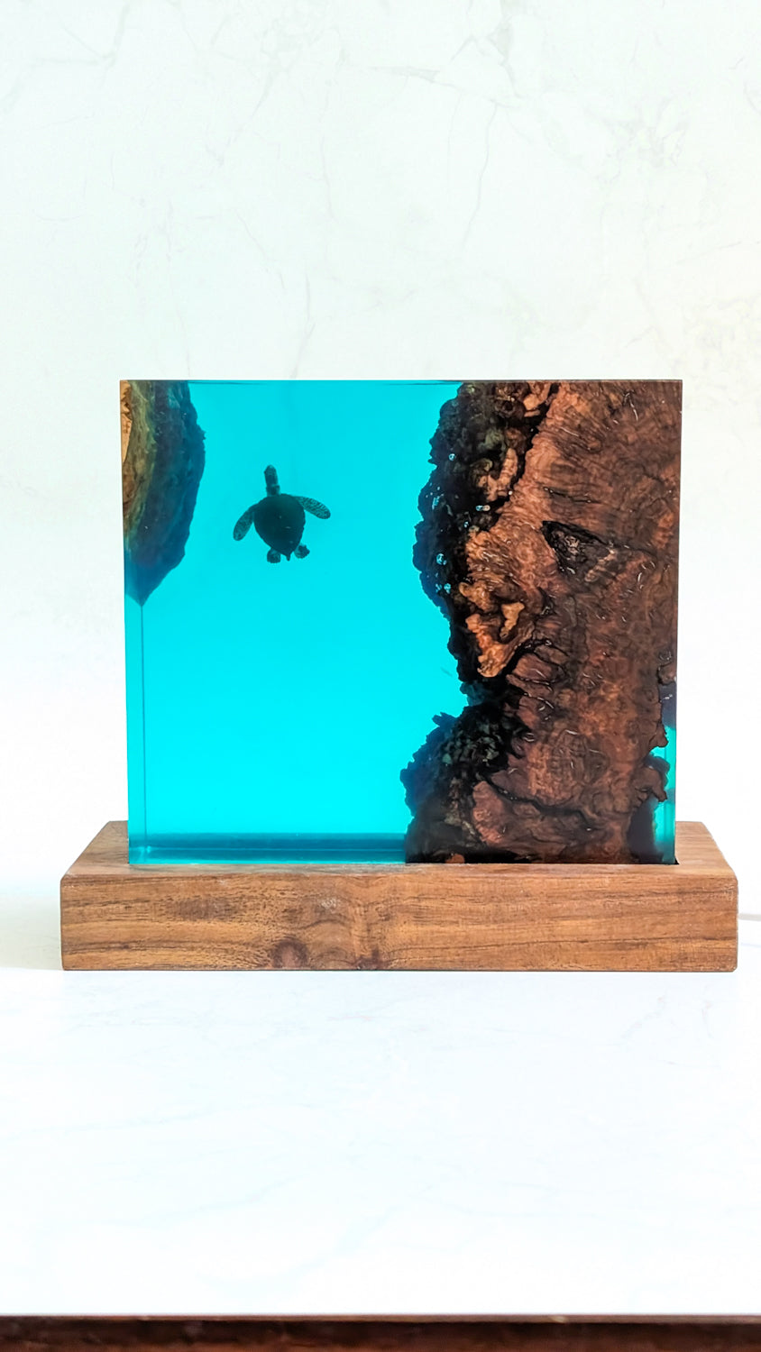 Square Underwater Lamp with sea turtle