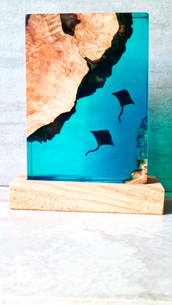 Underwater Lamp with manta rays