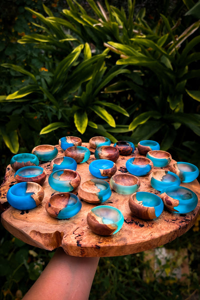 Wood and resin bowl