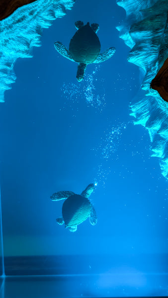 Underwater Lamp with sea turtles