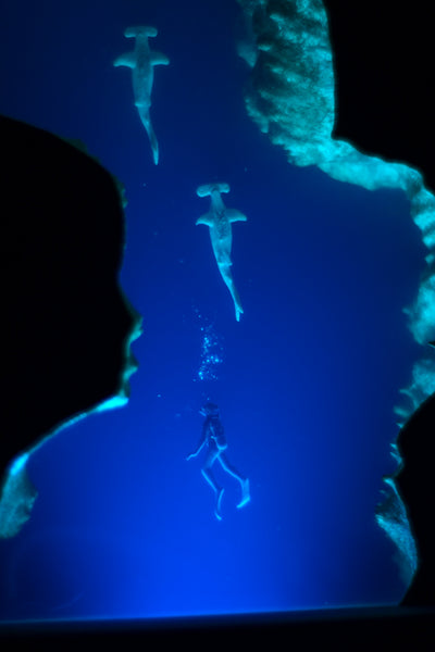 Underwater Lamp with diver & hammerhead sharks