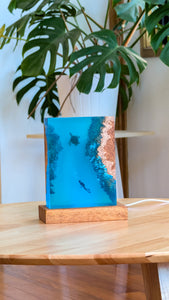 Underwater Lamp with diver and turtle