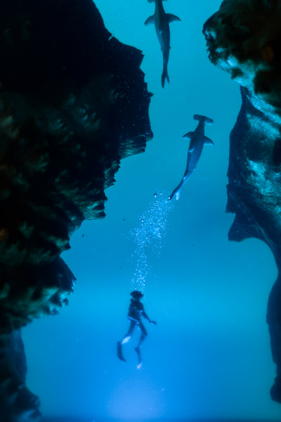 Underwater Lamp with scuba diver & hammerhead sharks