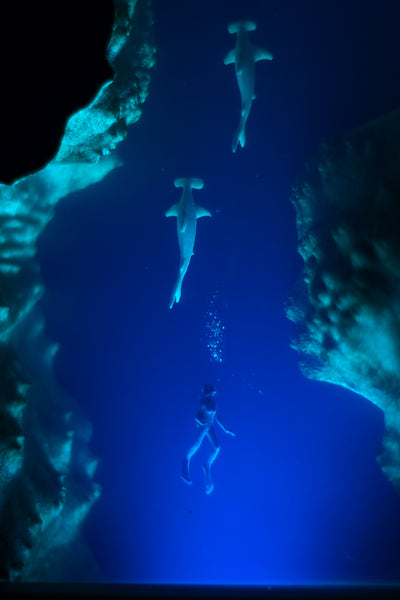 Underwater Lamp with diver & hammerhead sharks