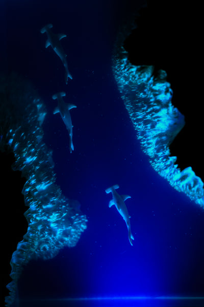 Underwater Lamp with 3 hammerhead sharks